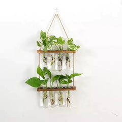 Wall Hanging Test Tube Plant Station