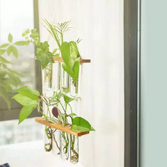 Wall Hanging Test Tube Plant Station