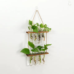 Wall Hanging Test Tube Plant Station