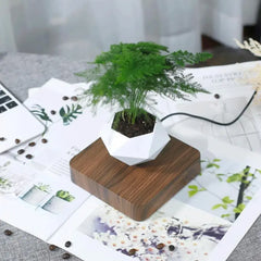 Levitating Air Bonsai Pot Rotation Flower  Home Decor