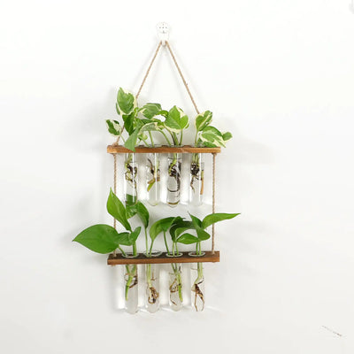 Wall Hanging Test Tube Plant Station