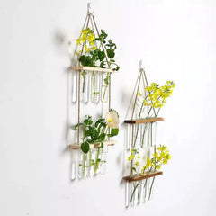 Wall Hanging Test Tube Plant Station