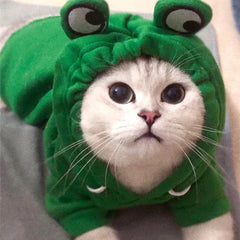 Cute Frog Costumes For Pet