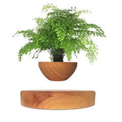 Levitating Air Bonsai Pot Rotation Flower  Home Decor